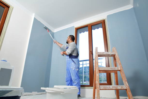 Best Black Mold Removal  in Fairfax Station, VA