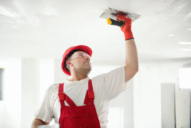 Best Industrial Mold Remediation  in Fairfax Station, VA