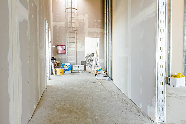 Mold Documentation for Insurance Claims in Fairfax Station, VA