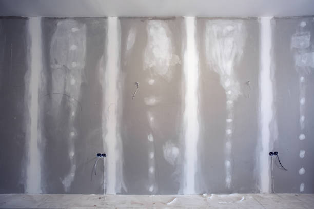 Best Mold Damage Restoration  in Fairfax Station, VA